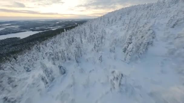 Fpv Drönarflygning Över Snöig Skog Finska Lappland Slutar Mycket Snabb — Stockvideo