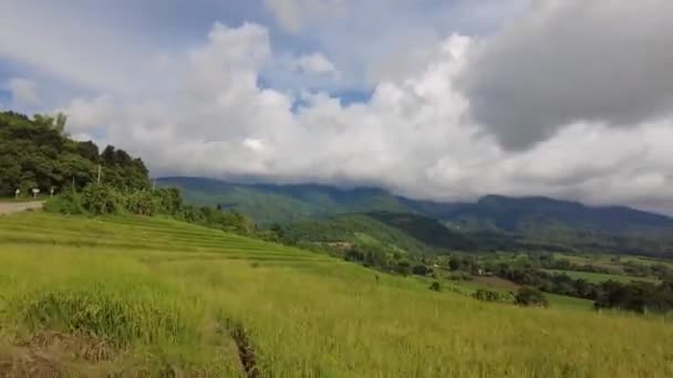 Bulutları Otları Ağaçları Dağları Olan Güzel Bir Manzara Panoramik Görünüm — Stok video