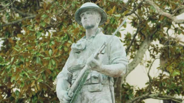 Крупный План Солдатской Статуи Военного Мемориала — стоковое видео