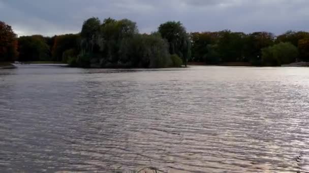 Veduta Uno Stagno Parco Con Alberi Sullo Sfondo — Video Stock