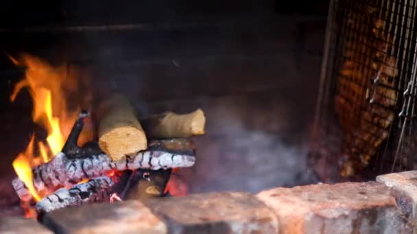 Costelas Grade Lado Fogo Churrasco Estilo Tradicional Sul Africano — Vídeo de Stock