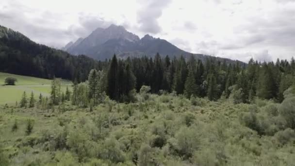 Video Con Drone Piano Gru Diagonale Nella Riserva Naturale Zelenci — Video Stock