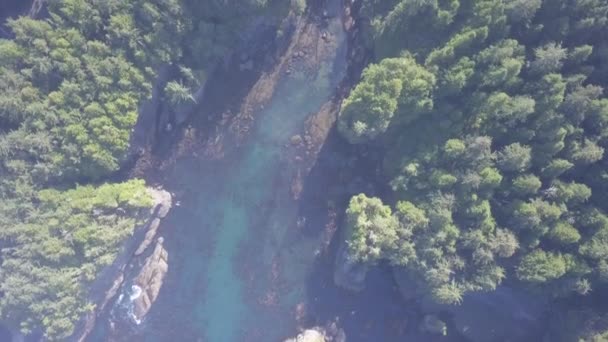 Vista Aérea Vertical Niebla Poco Profunda Entrada Del Océano Selva — Vídeos de Stock