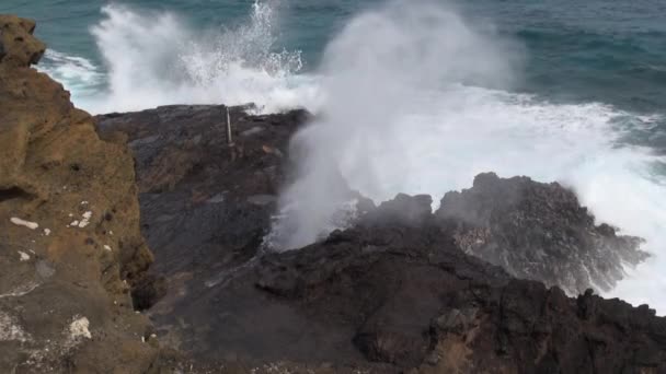 Rock Constriction Ocean Waves Create Impressive Blow Hole Feature — Stock Video