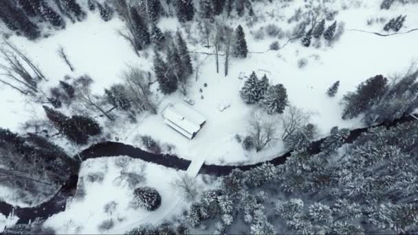Aerial Río Sinuoso Rodeado Bosque Nevado — Vídeos de Stock