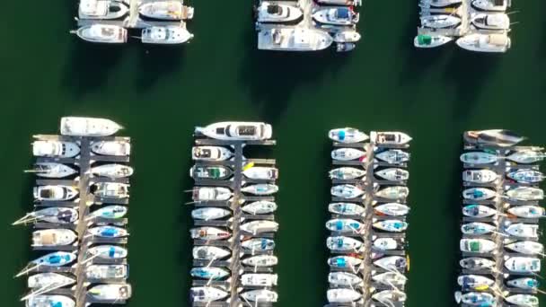 アメリカのマリーナに係留されたヨットやボートの空中ビューのトップダウン — ストック動画
