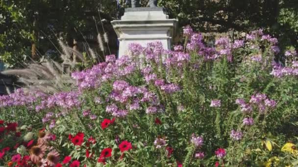 匈牙利布达佩斯一座紫色花朵花园的雕像倾斜向上拍摄 — 图库视频影像