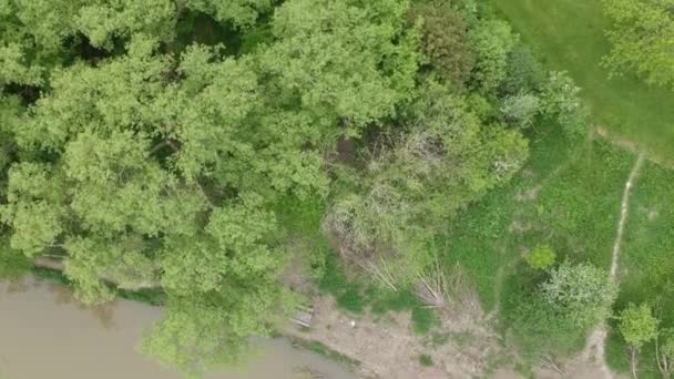 Flyby River Trees Grass Stadspark — Stockvideo