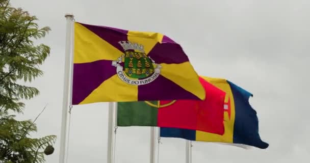 Bendera Portugal Madeira Dan Funchal Blowing Wind Island Madeira Portugal — Stok Video