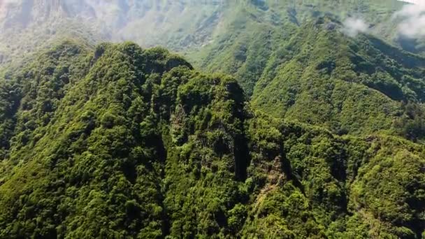 マデイラ島の熱帯緑豊かな森の空中ビューポルトガル ドローン撮影 — ストック動画