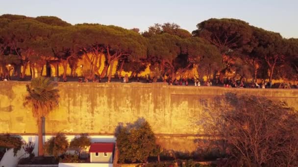 Montage Film Avec Drone Monter Avec Caméra Vers Haut Défilement — Video