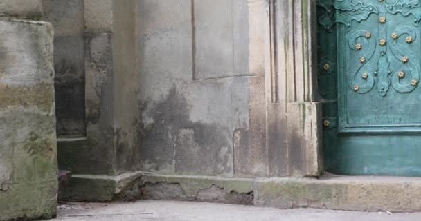 Panorama Gamla Dörren Vid Entrén Till Dominikanska Kyrkan Gamla Stan — Stockvideo