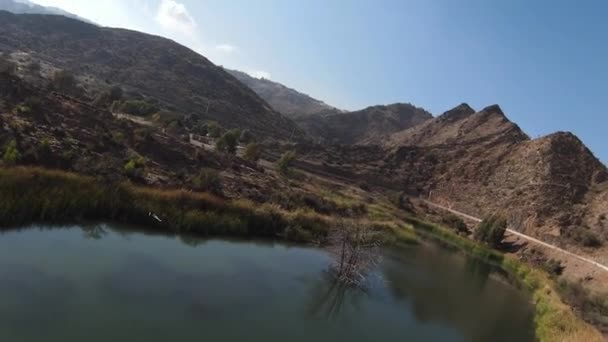 Dron Persiguiendo Pájaros Volando Sobre Río Pasando Por Una Montaña — Vídeos de Stock