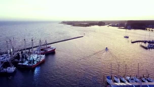 Східний Північна Кароліна Рибний Човен Листя Гавані Повітря Neuse Річки — стокове відео