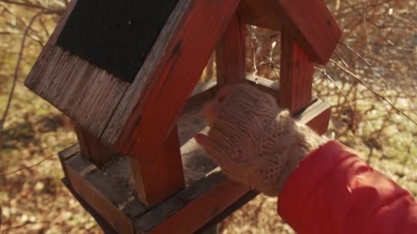 Ponowne Napełnianie Karmnika Przez Kobietę Pomarańczowej Kurtce Aby Pomóc Ptakom — Wideo stockowe