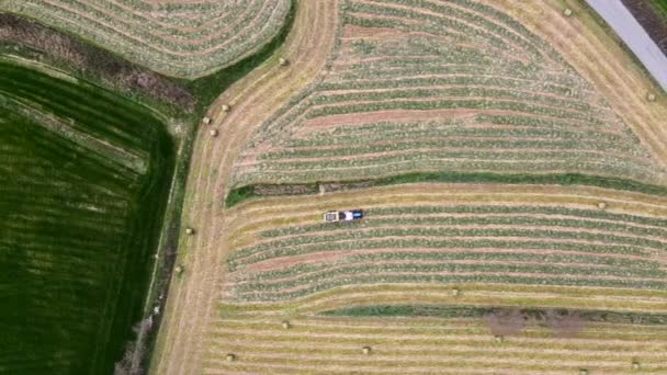 在欧洲 一个农民用干草堆在倾斜的庄稼上从上至下的空中拍摄 — 图库视频影像