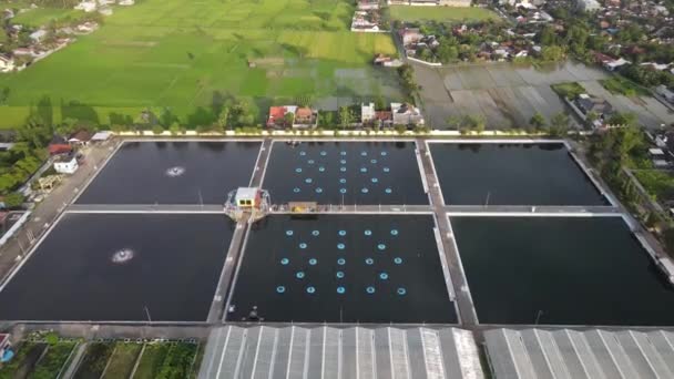 Planta Tratamiento Aguas Residuales Con Vista Aérea Filtración Agua Sucia — Vídeo de stock