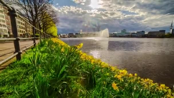 Time Lapso Hermoso Paisaje Naturaleza Pequeñas Flores Amarillas Fuente Agua — Vídeo de stock