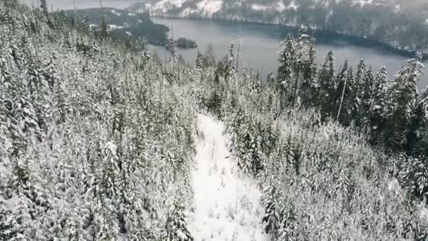 Aérea Una Carretera Tala Nevada Isla Vancouver Canadá — Vídeos de Stock