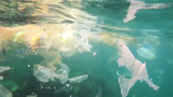 Wasserverschmutzung Plastikmüll Schwimmt Auf Dem Meerwasser Unter Wasser — Stockvideo