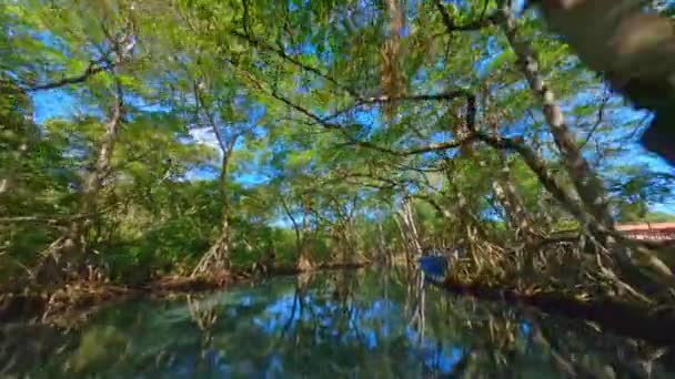 Voo Drone Idílico Sobre Tranquila Lagoa Gri Gri Com Água — Vídeo de Stock