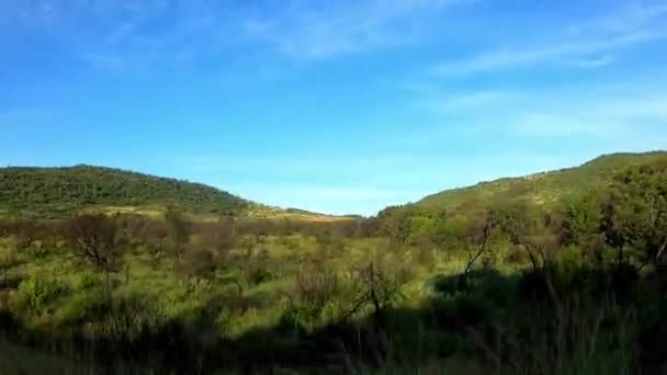 Köra Genom Afrikanska Bushveld Södra Afrika — Stockvideo