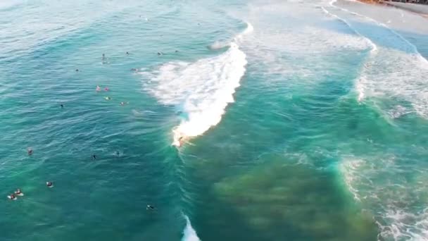 Drone Volant Vers Avant Tourné Duranbah Beach Coolangatta Montrant Les — Video