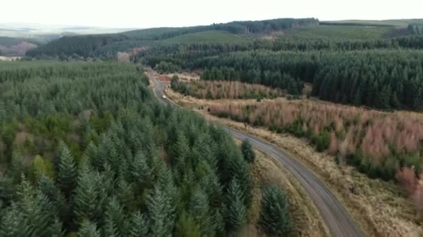 Drone Vista Del Coche Rally Corriendo Por Tramo Forestal Rodeado — Vídeo de stock