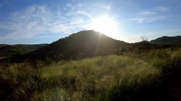 Νωρίς Πρωί Ένα Σαφάρι Στην Αφρικανική Bushveld — Αρχείο Βίντεο