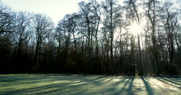 숲에서 그림자가 이동하는 동안얼어붙은 땅에서 태양이 펄럭거리는 — 비디오