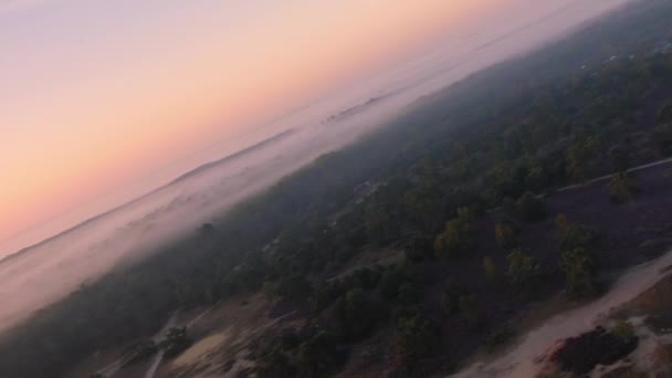 Veluwe Parque Nacional Holanda Florescendo Campos Saúde Fpv Drone View — Vídeo de Stock