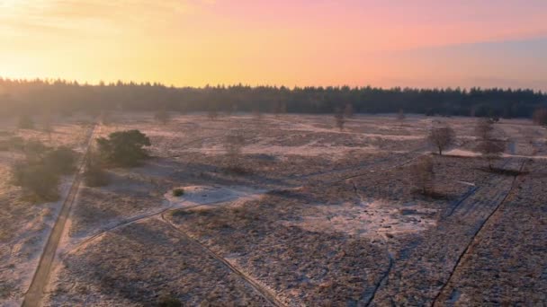 オランダのGrovenbeek Heide 冬の道路を歩く人の空中風景 — ストック動画