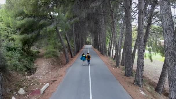 木が並ぶコンクリートの道を進む夫婦 前方の空中 — ストック動画