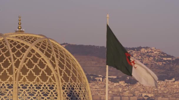 View Algiers Great Mosque Algeria — Stock Video