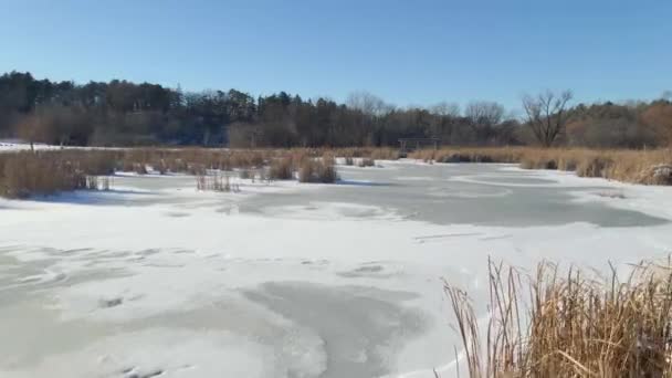 Winter Landscape Park Minneapolis — Stock Video