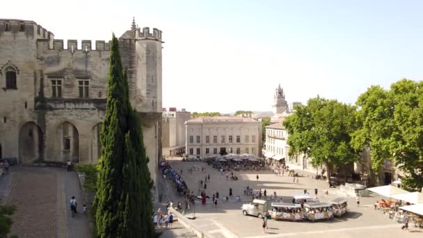 Panoramautsikt Över Avignon Sommaren Med Historiska Palatset Påvarna — Stockvideo