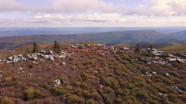 Aerial Dolly Sods Wilderness Scenic Vista — стоковое видео