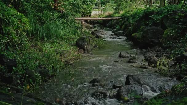 一幅幅经典的自然美景环绕的河流照片 — 图库视频影像