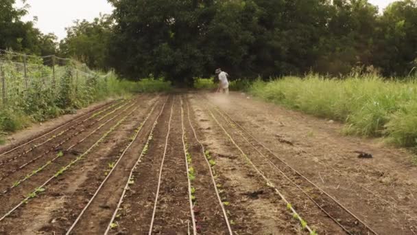 Zewnętrzny System Nawadniania Kroplowego Wężami Rurociągami Plantacji Ekologicznej — Wideo stockowe