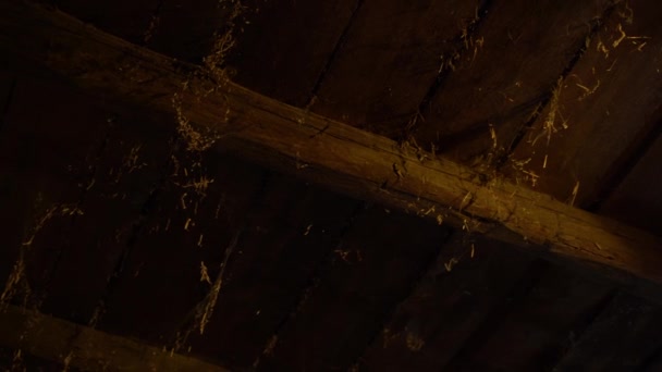 Eski Kırsal Eski Ahır Çatısı Saman Samanla Kaplı Örümcek Ağlarıyla — Stok video