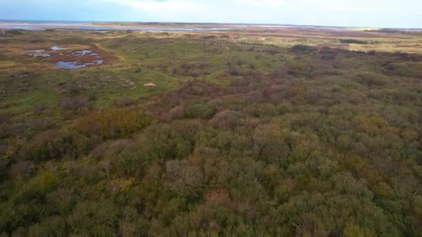 Gündüzleri Texel Wadden Adaları Ndaki Çamur Düzlükleri Hava Manzarası — Stok video