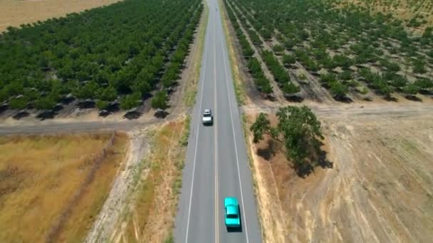 Drone Footage Light Blue Classic Mustant Driving Rural Country Roads — Stock Video