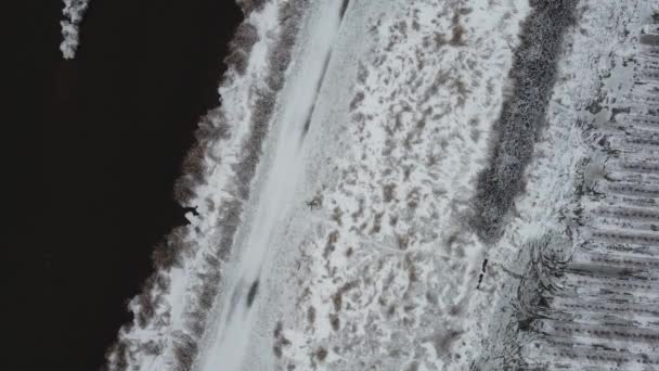 蓝莓农场旁边灌溉渠道冰冻海岸线 — 图库视频影像