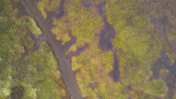 Tiro Aéreo Vertical Mudflats Que Assemelha Uma Pintura Abstrata Ilha — Vídeo de Stock