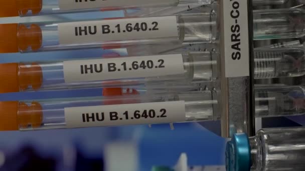 Ihu 640 Variant Samples Laboratory Test Tubes Rack Svislé Video — Stock video