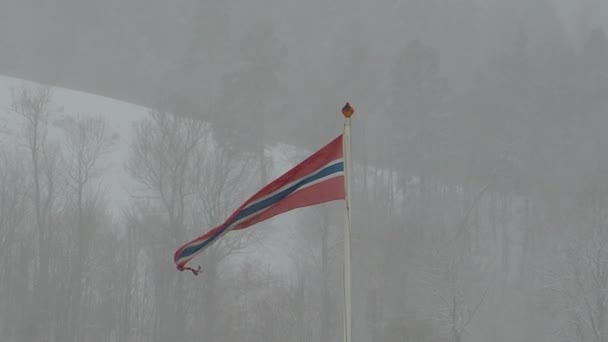 Norwegische Flagge Weht Schneesturm — Stockvideo