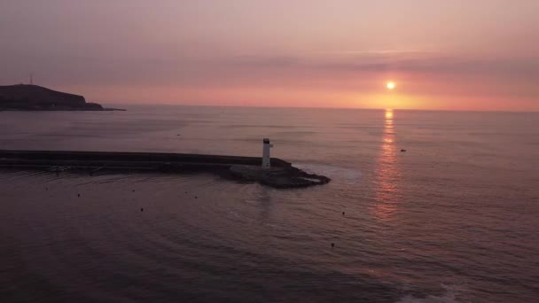 Wervellucht Drone Uitzicht Vogels Vliegen Zee Zonsondergang — Stockvideo