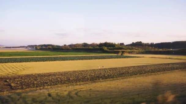 Rural Countryside Southern Kyushu Japan Golden Landscape Seen Train — Stock Video