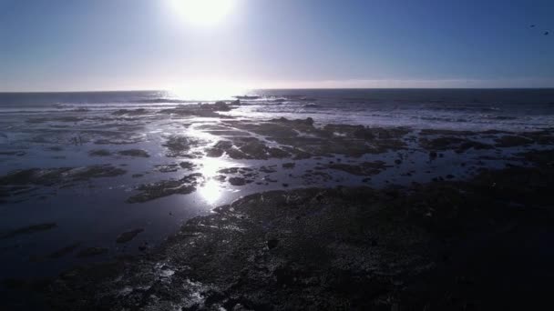 Drone Pan Esquerda Mavericks Beach Half Moon Bay Granada Gaivotas — Vídeo de Stock