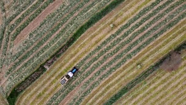 Foto Aérea Arriba Hacia Abajo Granjero Usando Una Empacadora Heno — Vídeos de Stock